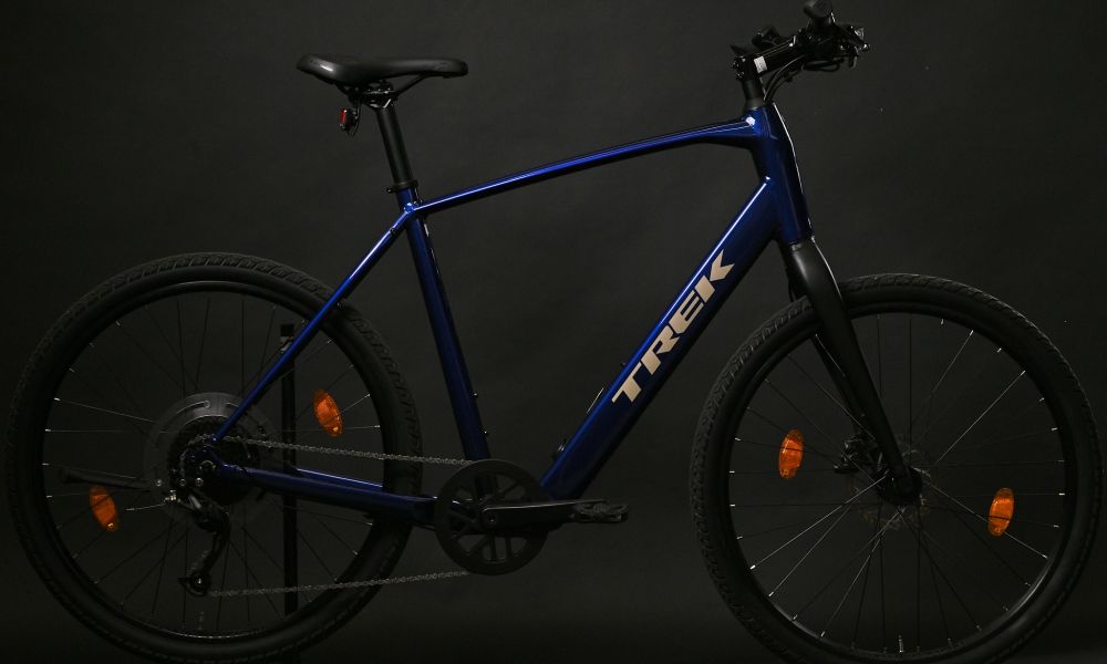 Trek Dual Sport XL